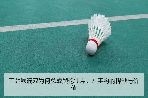 wang-chu-qin-hun-shuang-wei-he-zong-cheng-yu-lun-jiao-dian-zuo-shou-jiang-de-xi-que-yu-jia-zhi-2-731.jpg